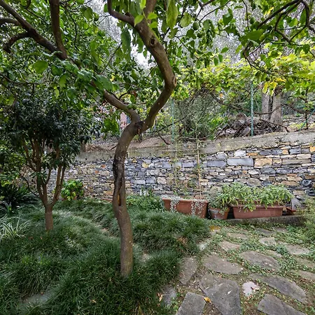 Rosemary By Portofinohomes דירה
