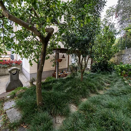 Rosemary By Portofinohomes * סנטה מרגריטה ליגורה